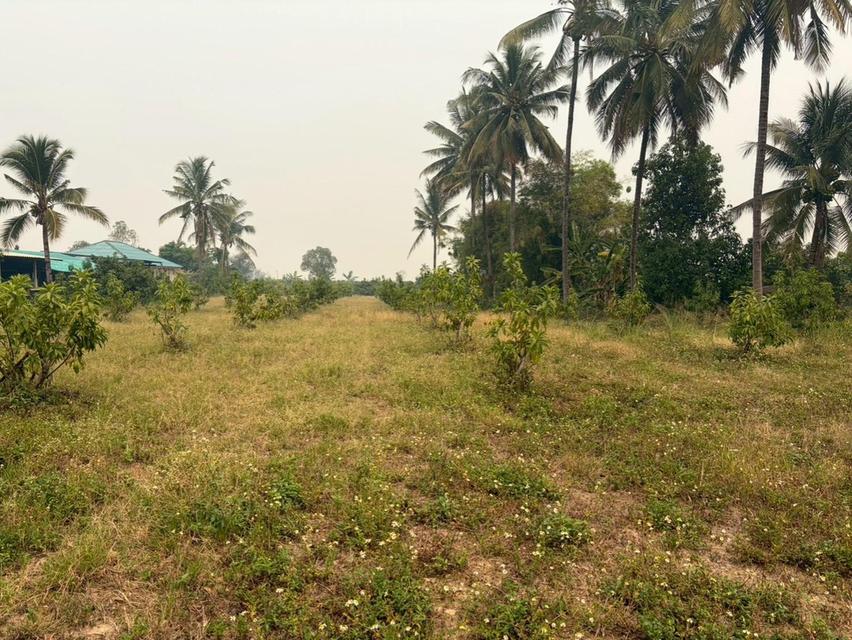 ขายที่ดิน (พร้อมโกดังเก็บของ) รวมเนื้อที่ 2 ไร่ 3งาน  97.3 ตารางวา 4