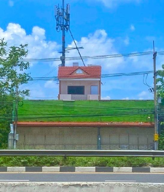 รร.สวนกุหลาบ สระบุรี 1.7 กม. โรบินสัน สระบุรี 1.9 กม.อาคารพาณิชย์ 3 ชั้น 400 ตร.ม. ติดถนนมิตรภาพ พร้อมออฟฟิศ โกดัง 99 ตร 2