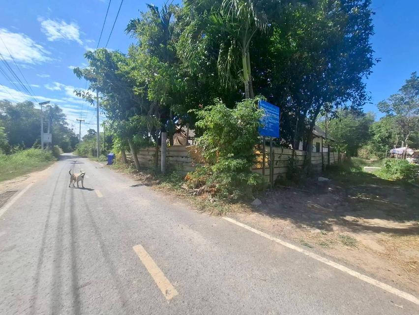 ขายบ้านชั้นเดียวพร้อมที่ดินเนื้อที่เยอะ บ้านห้วยกลางนาหมู่ 2 หนองแค สระบุรี 3