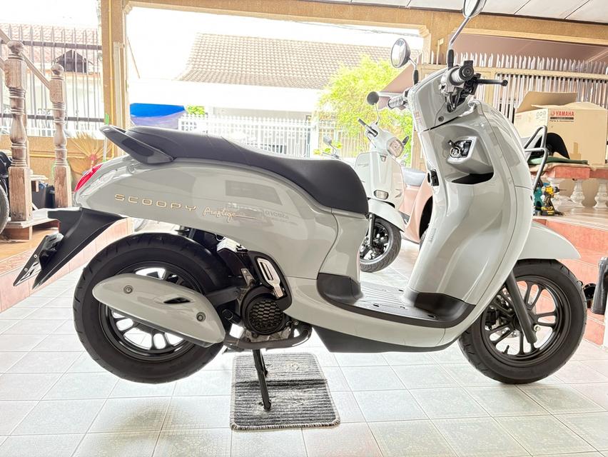 Scoopy Prestige มีสมุดคู่มือ มีรับประกัน รถมือเดียว ใช้งานน้อย สภาพใสกริ๊บ ออกง่าย ไม่ต้องค้ำ วิ่ง5000 ปลายปี67 6