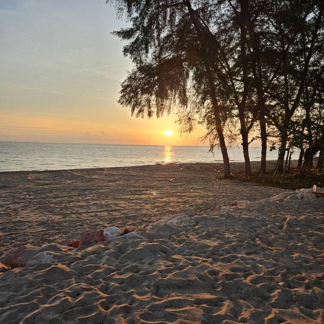 ขายที่ดินหน้าติดทะเล หลังติดถนน หาดพุมเรียง อ.ไชยา 11