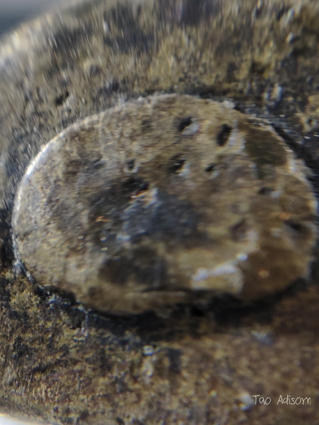 พระหลวงพ่อเงินวัดบางคลาน