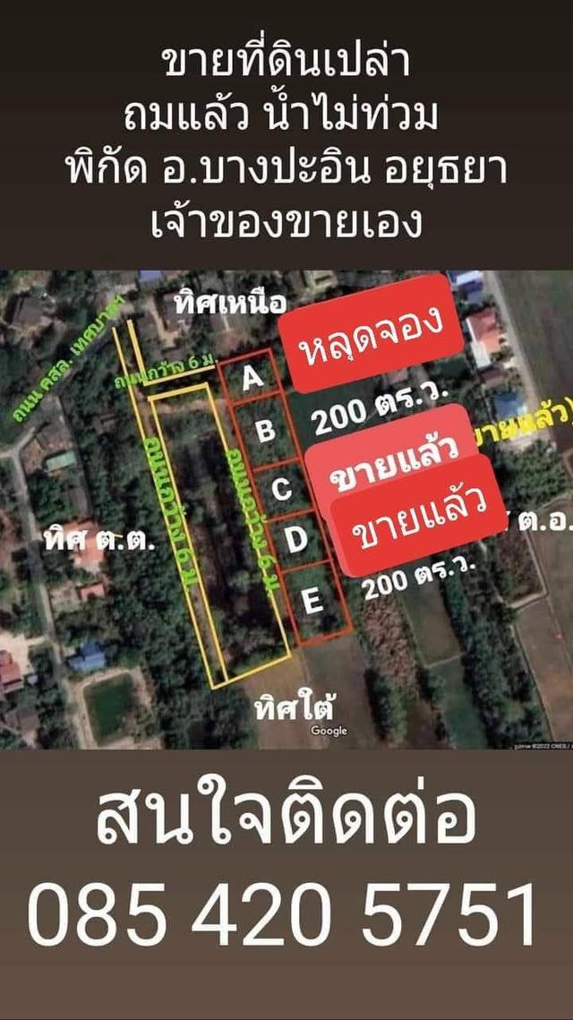 ขายที่ดินเปล่า ถมแล้ว น้ำไม่ท่วม เจ้าของขายเอง พิกัด อ.บางปะอิน จ.พระนครศรีอยุธยา 1