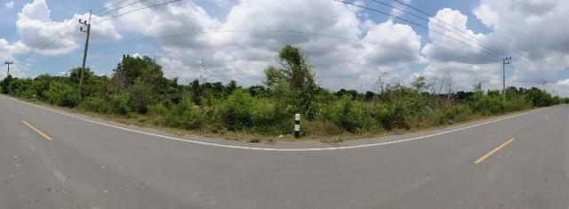 ขายที่ดิน ต.สะแกราบ อ.โคกสำโรง จ.ลพบุรี 2