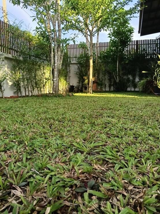 ขายบ้านเดี่ยวชั้นเดียว เนื้อที่กว้าง 87 ตร.ว. ทำเลติดถนนใหญ่ โครงการหมู่บ้านร่มรื่น 3 ต.บ้านควน อ.เมือง จ.ตรัง รูปที่ 7