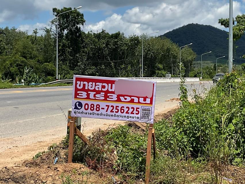 ขายสวนกระท่อม 3 ไร่ 3งาน 50 ตารางวา ติดคลองธรรมชาติ 1