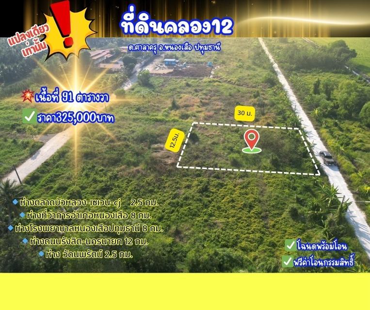 ที่ดินคลอง12หนองเสือ 4