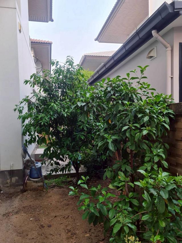 บ้านบุราสิริ 345 (ราชพฤกษ์) 8