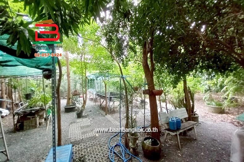ที่ดินเปล่า ซอยนิมิตใหม่ 11 เนื้อที่ 100 ตรว. ถนนนิมิตใหม่ แขวงทรายกองดิน เขตคลองสามวา กรุงเทพมหานคร 6
