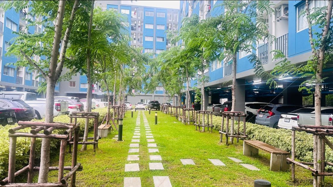 ให้เช่าห้อง เสนาคิทท์ ฉลองกรุง-ลาดกระบัง 18