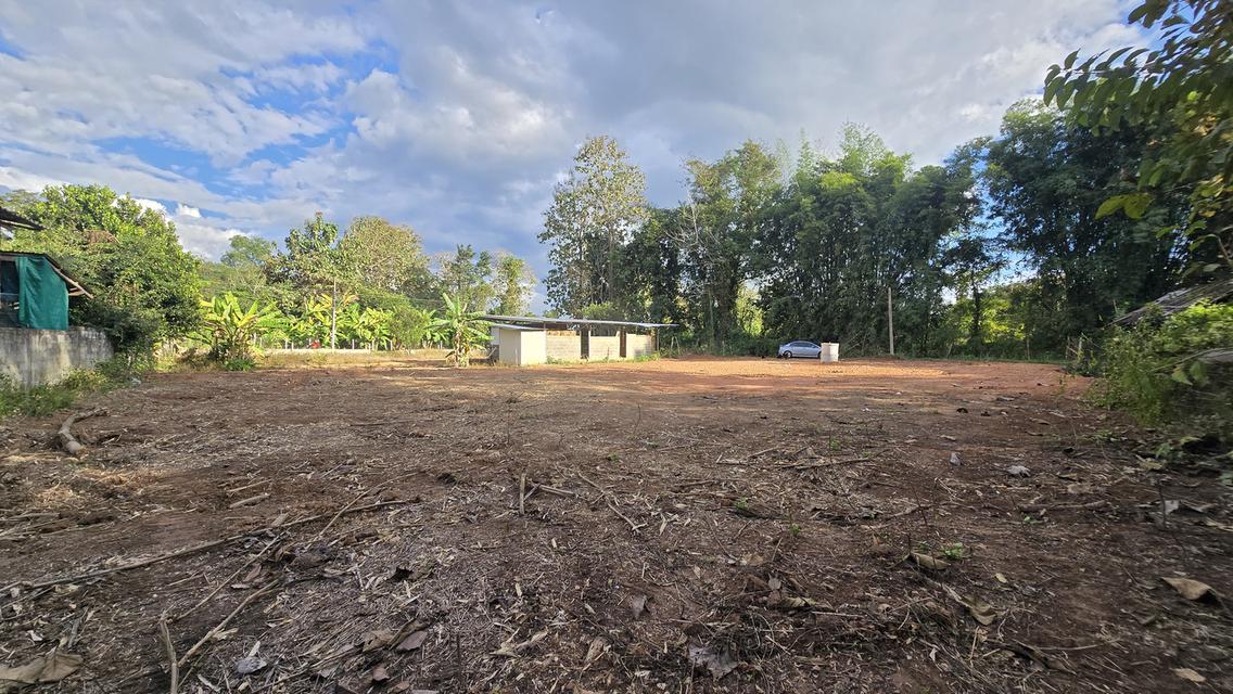 ที่ดิน 54 ตรว น้ำไม่ท่วม สร้างบ้านได้เลย กิ่วป่า5 อ.เมืองน่าน 2