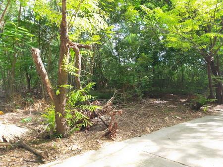 ขายที่ดินจัดสรร ราคาถูก ม.กรีนนิชชาเล่ต์ ซ.บรมราชชนนี 62/6 ติดถนนบรมราชชนนี เขตทวีวัฒนา กรุงเทพ 10170 3