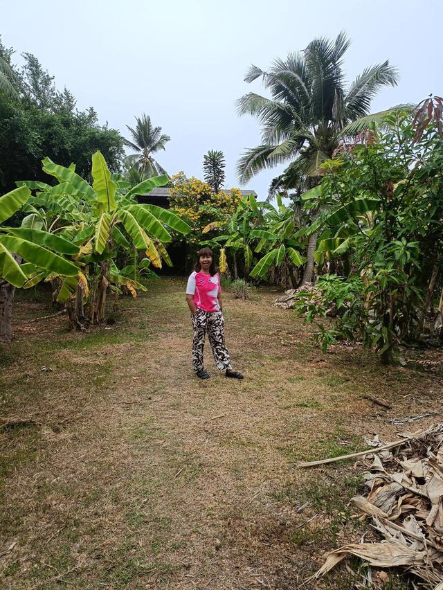 ที่ดินใกล้วัดธรรมโฆษณ์ 1/2 ไร่กว่า อ.สิงหนคร จ.สงขลา มีบ้านเก่า 4