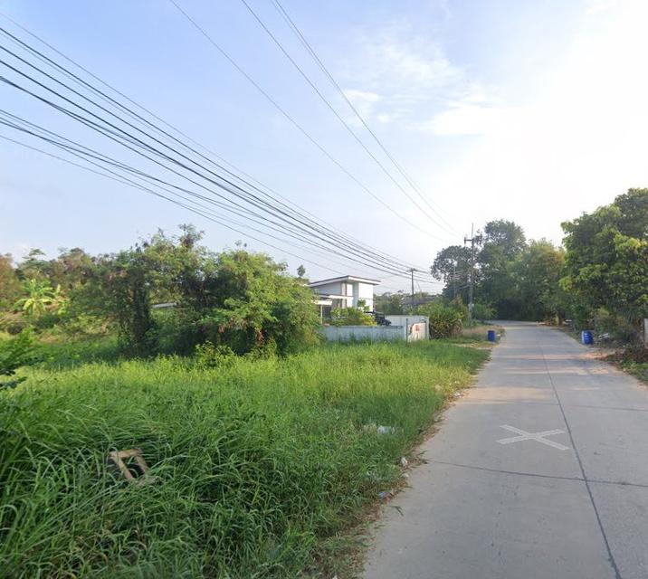 ขายที่ดินตะพงถมแล้ว 328 ตรว. ติดถนนคอนกรีตใกล้ถนนเส้นสุขุมวิท3เพียง600เมตร อ.เมืองระยอง 3