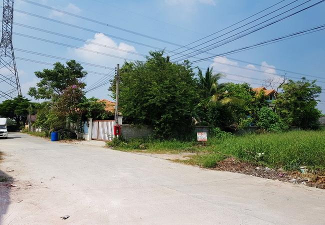 ขายที่ดิน 130 ตร.ว. ซอยเลียบคลองนายหลีก ใกล้วัดลาดปลาดุก อำเภอบางบัวทอง นนทบุรี 8