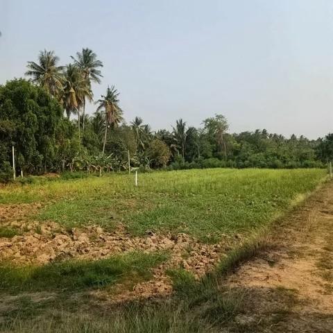 ขาย ที่ดินเปล่า 150 ตร.วา ทำเลดี ราคาคุ้ม ตำบลสร้อยฟ้า อำเภอโพธาราม จังหวัดราชบุรี 2
