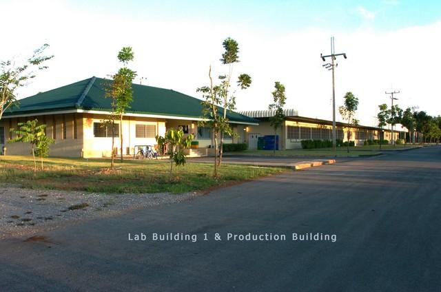 ขายโรงงานพร้อมดำเนินการ + ที่ดินขยายกิจการ จังหวัดระยอง มีใบอนุญาตประกอบกิจการโรงงานลำดับที่ 48(5) พร้อมสำหรับการขยายกิจการโรงงา รหัสทรัพย์ WANS6924 1