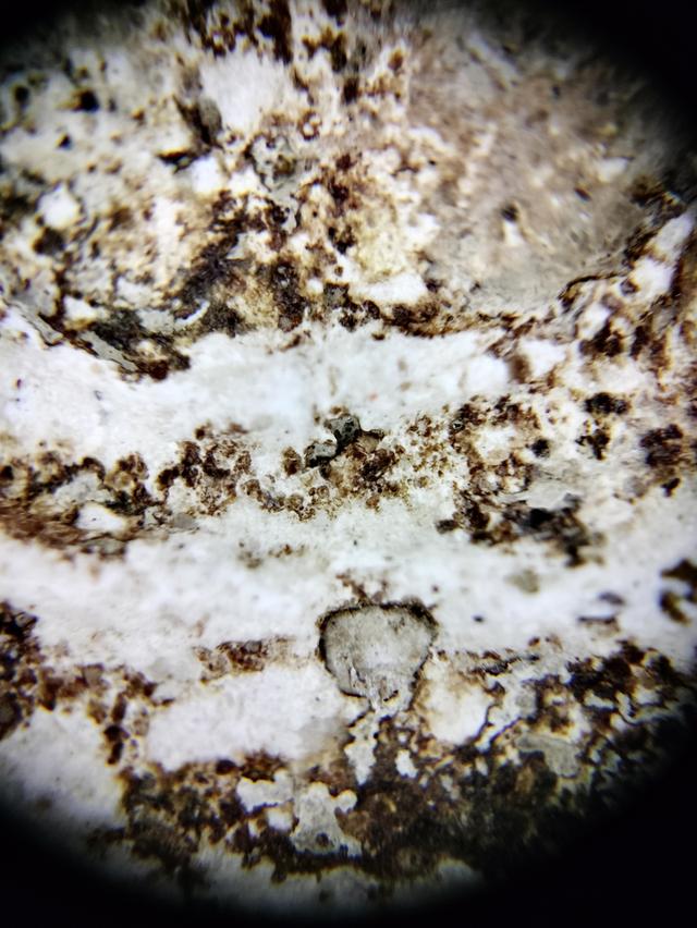 Phra Somdej Wat Rakhang รูปที่ 4