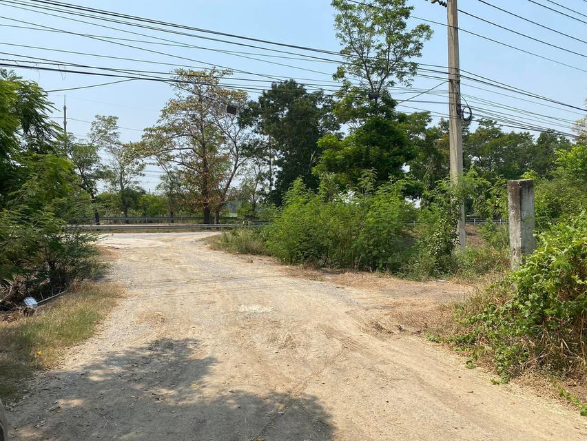 ที่ดิน 10 ไร่ ติดถนน 340 3