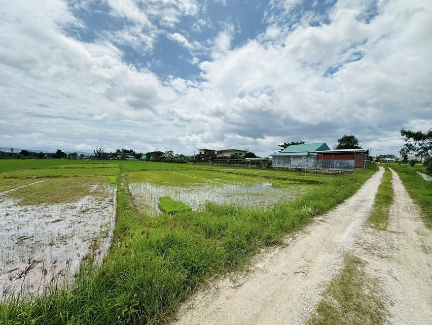 ขายที่ดิน เชียงราย ติดน้ำพุร้อนทุ่งทวี 4