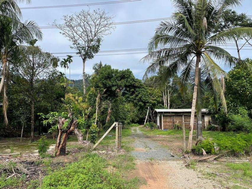 ที่ดิน 8.5 ไร่ ริมถนนสุขุมวิท ต.คลองนารายณ์ อ.เมือง จ.จันทบุรี 16