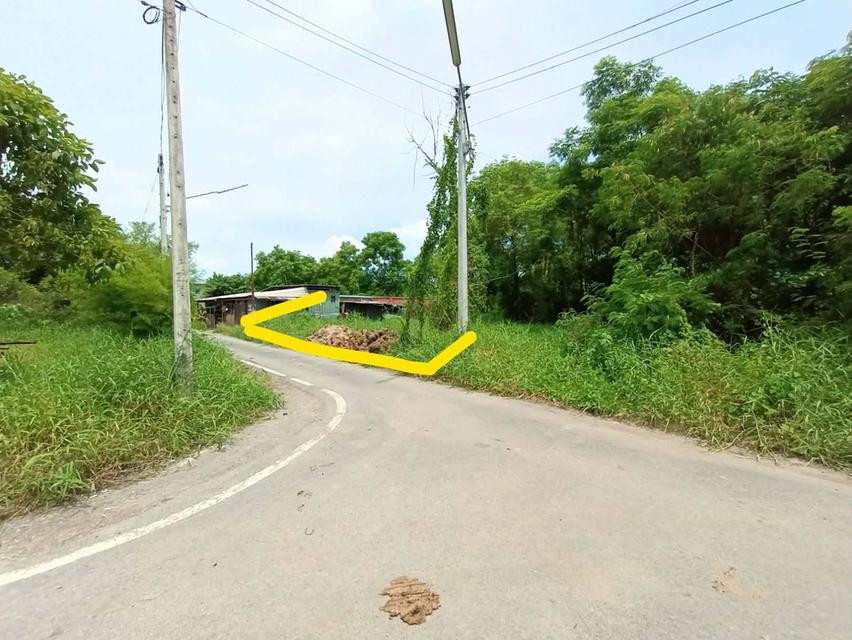 ถูกกว่านี้ไม่มีอีกแล้ว! ที่ดิน 101 ตร.ว. ทำเลสวย แปลงมุม ติดถนน อยากเป็นเจ้าของที่ดินใกล้ มทร ธัญบุรี นัดตรวจเช็กพิกัดและดูหน้างานจริงได้ทุกวันครับ/ค 4