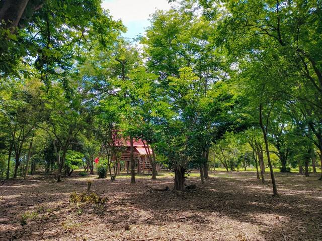 ขายที่ดินทำเลทองพร้อมสิ่งปลูกสร้าง บนเนื้อที่ 18 ไร่ 2 งาน 19 ตารางวา พิษณุโลก 7