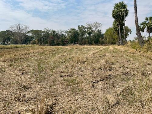 ขายที่ดิน 3 งาน 78.0 ตรว. ต.ขามทะเลสอ อ.ขามทะเลสอ จ.นครราชสีมา 7