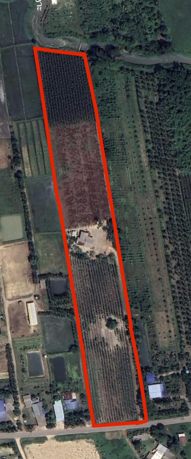 ขายที่ดินเจ้าของขายเอง 15ไร่ 3งาน 98ตารางวา มีน้ำ-ไฟฟ้า ติดคลอง มีทางเข้า(ไม่ใช่ที่ตาบอด) 1