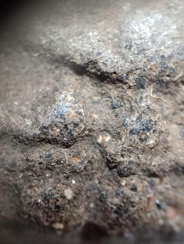 หลวงปู่ทวดเนื้อว่าน 2497 6