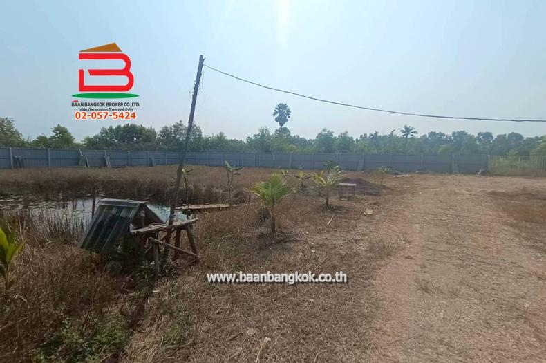 ที่ดินพร้อมสิ่งปลูกสร้าง เนื้อที่ 1 ไร่ ถนนเทศบาล 6/1 ตำบลบึงบา อำเภอหนองเสือ ปทุมธานี 6