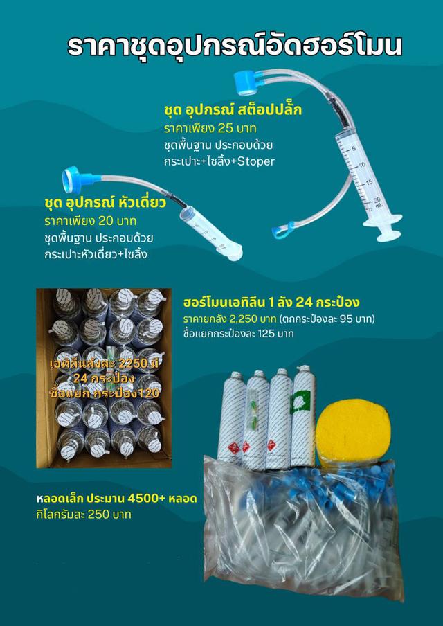 ชุดเจาะยางพารากับเอทิลีน