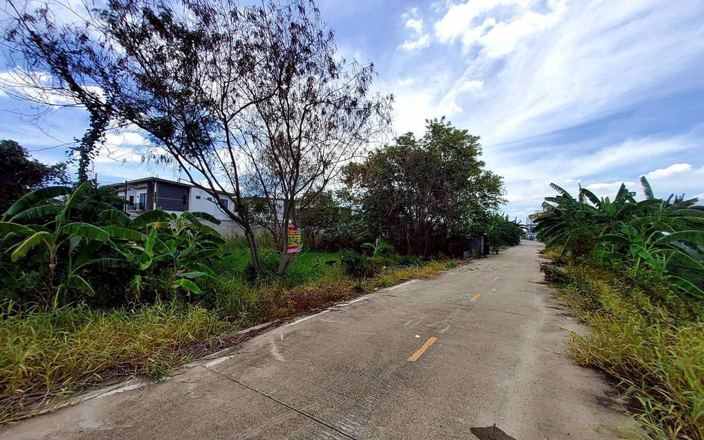 ขายถูกที่ดิน 163 ตรว ติดถนนคอนกรีต ซ.คนรักถิ่น ปากเกร็ด นนทบุรี 6
