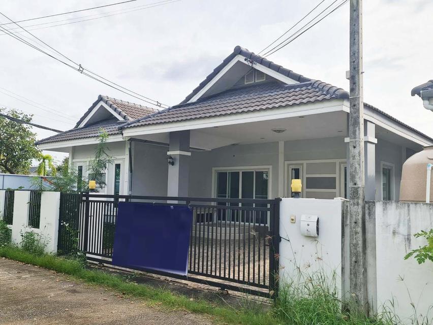 🏠💫 บ้านเดี่ยวชั้นเดียวให้เช่า ใหม่ น่าอยู่ พร้อมเข้าอยู่ทันที 1