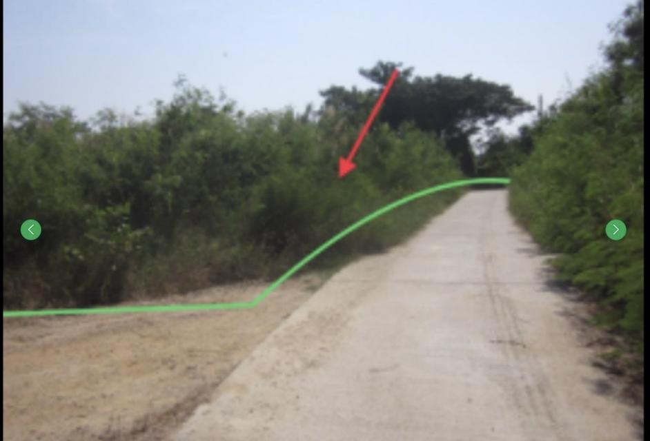 ขายที่ดินเปล่า 7 ไร่ 96 ตรว. เจ้าของขายเอง นิคมอุตสาหกรรมแห่งใหม่นิคม บลูไฮเทค พานทองชลบุรี  7