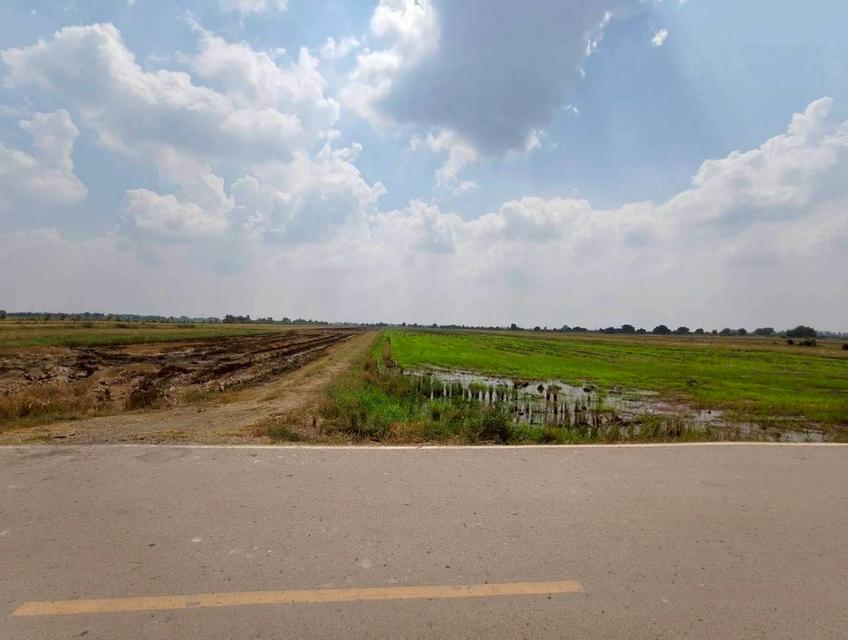 ขายด่วน! ที่ดินบางน้ำเปรี้ยว 15 ไร่ 1 งาน 34 ตารางวา ติดถนนลาดยางสาธารณะ ทำเลทอง ราคาถูกที่สุดในย่านนี้ รูปที่ 7