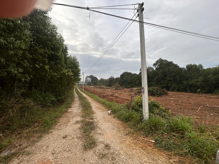 ขายที่ดิน  2 ไร่ห่างจาก331 หนึ่งกิโล 4