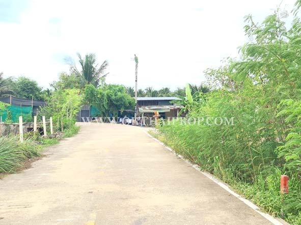 ที่ดิน พร้อมสวนมะพร้าว ใกล้ถนนบ้านแพ้ว ต.หลักสาม สมุทรสาคร 12