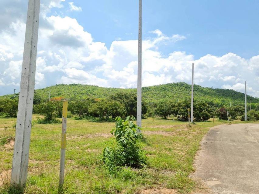 Landing Lamphun / ที่ดินลำพูน 2