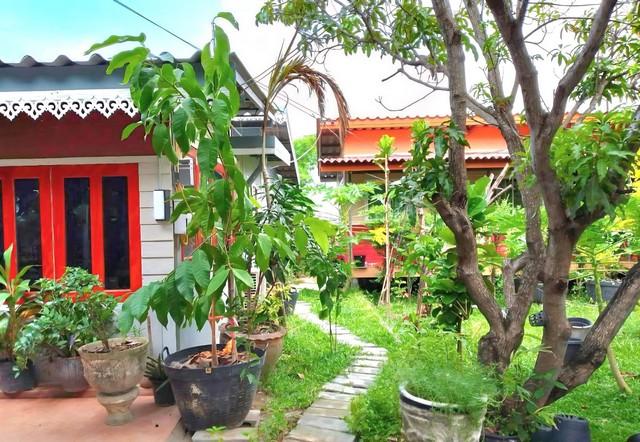 ให้เช่าบ้านในสวน บ้านชั้นเดียว อยู่อำเภอบางเลน จังหวัดนครปฐม 2