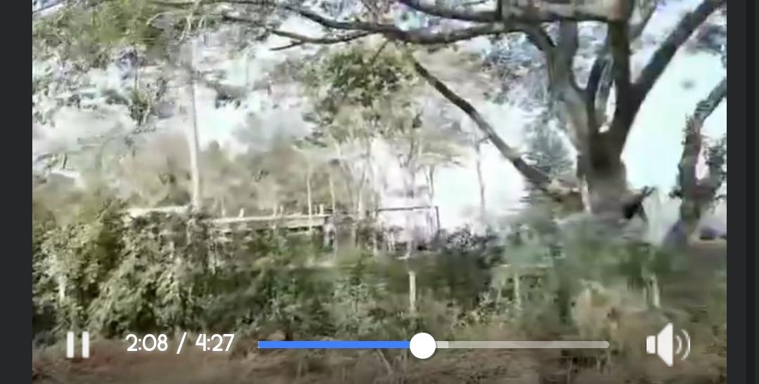 ขายที่ดินเชียงคาน หน้าติดแม่น้ำโขงด้านหลังถนน สามแยกเชียงคานเลี้ยวซ้ายไป 1 กิโลเมตร 2