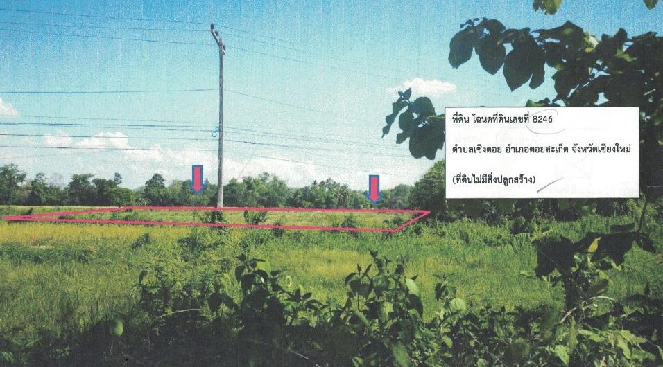 ที่ดิน 2