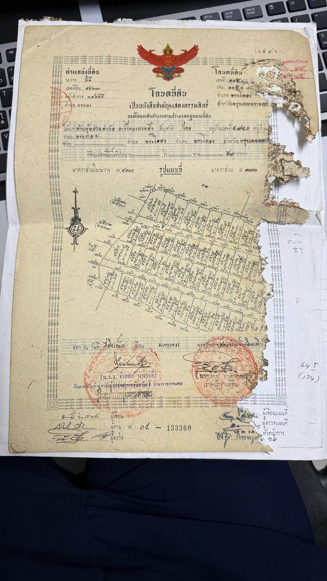 ขายที่ดินลาซาล 32 แยก2 51 ตร.ว. เหมาะสร้างบ้านเดี่ยว ไม่ต้องใช้ผนังร่วมกับใคร  3