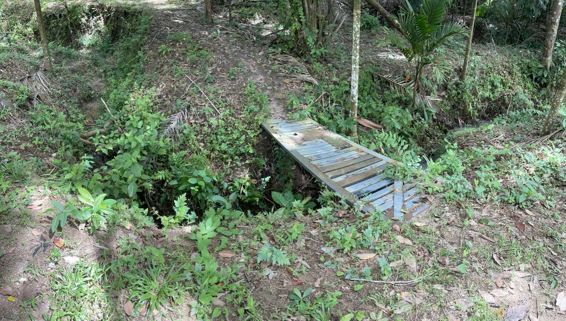 ขายสวนยาง 8 ไร่ 2 งาน70 ตารางวา คลองหรัง 5