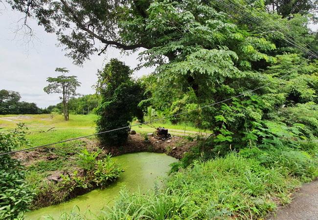 ขายที่ดิน หนองเสือคลอง 13 ถนนรังสิต-นครนายก อำเภอหนองเสือ ปทุมธานี 8