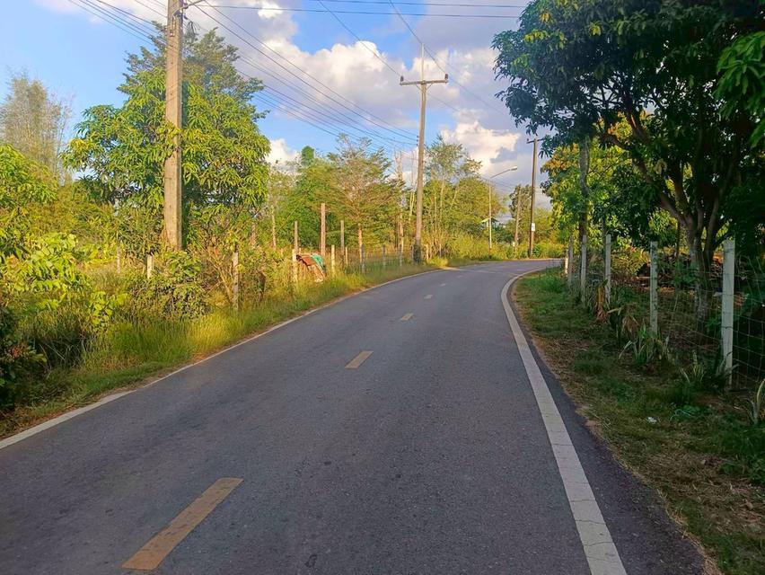 ขายที่ดินนนทรี 2 ไร่ ซอยโยธาธิการใกล้วิวเชาหลังเครือสหพัฒน์ ใกล้ถนนสุวรรณศร33-6กม. อ.กบินทร์บุรี ปราจีนบุรี 3