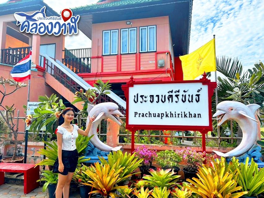 ที่ดิน.ใกล้หาด วิวภูเขา ห่างทะเลเพียง 5 นาที แบ่งขาย 110-200 ตรว.  ต.คลองวาฬ อ.เมือง  จ.ประจวบคีรีขันธ์ 16