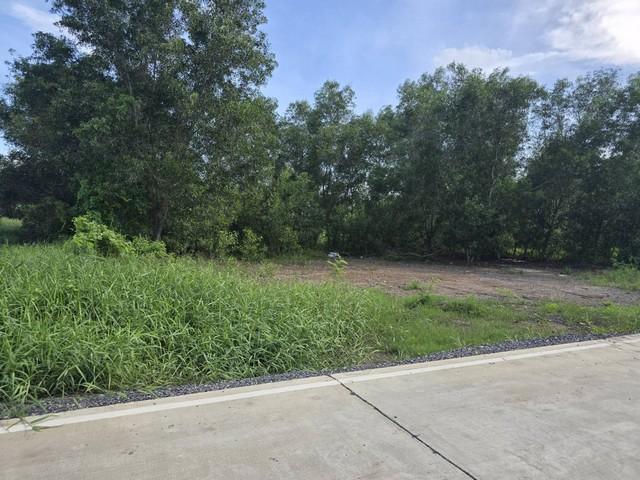 ขายที่ดิน คลองหลวง ปทุมธานี ทำเลดี ใกล้อบต.คลองสาม และใกล้วัดธรรมกาย 1