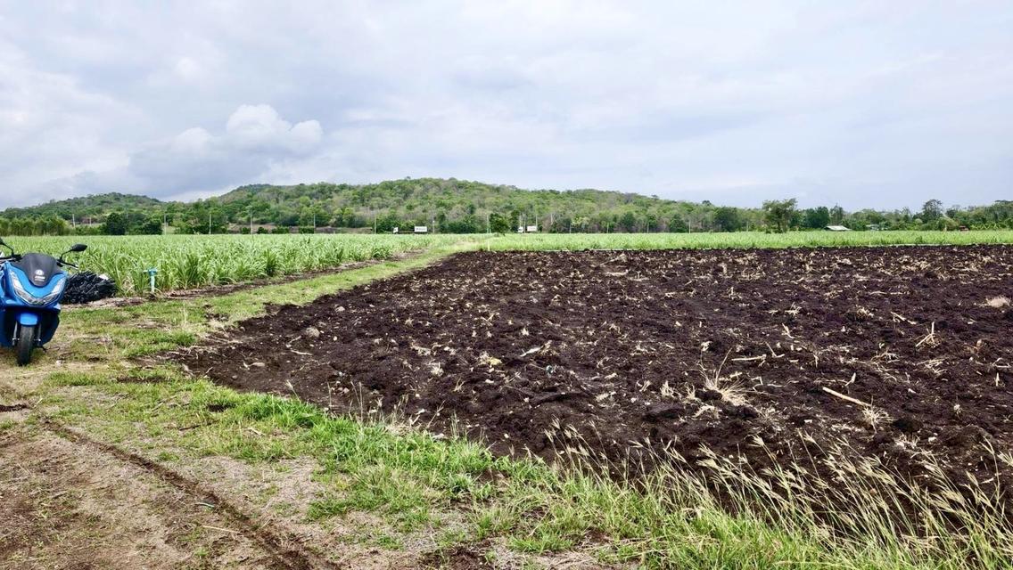 ที่ดิน โคกสำโรง ลพบุรี ขนาด 200 ตร วา 150000 บาท 10