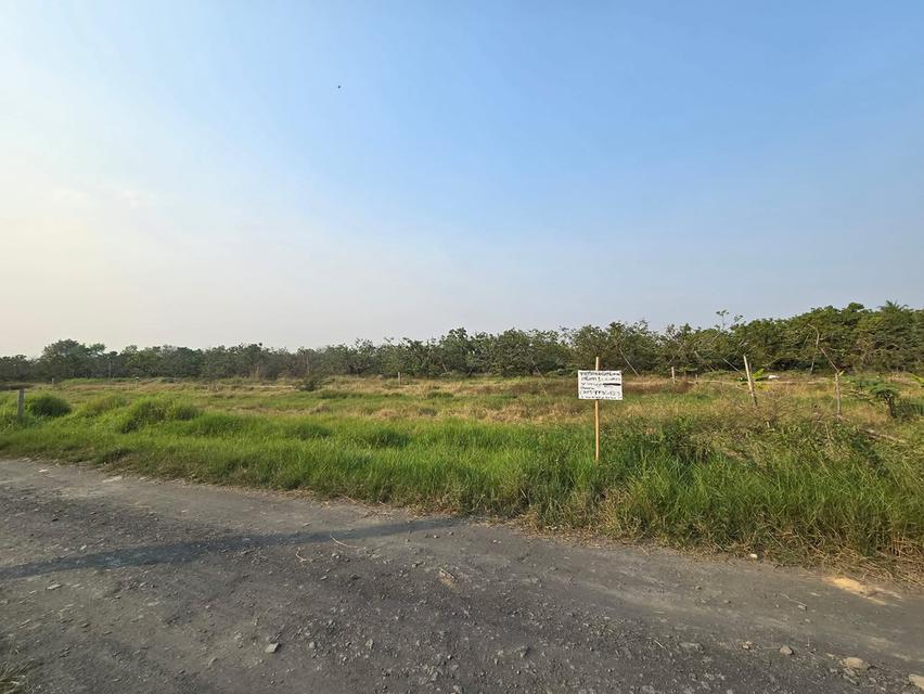 ขายที่ดินต.สันทรายอ.สารภีจ.เชียงใหม่ 100ตรว. 7